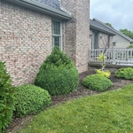 Landscaping Project