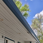 Gutter Removal and Installation