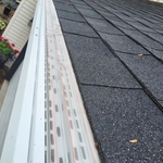 Gutters and gutter guards