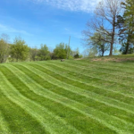 grass cutting