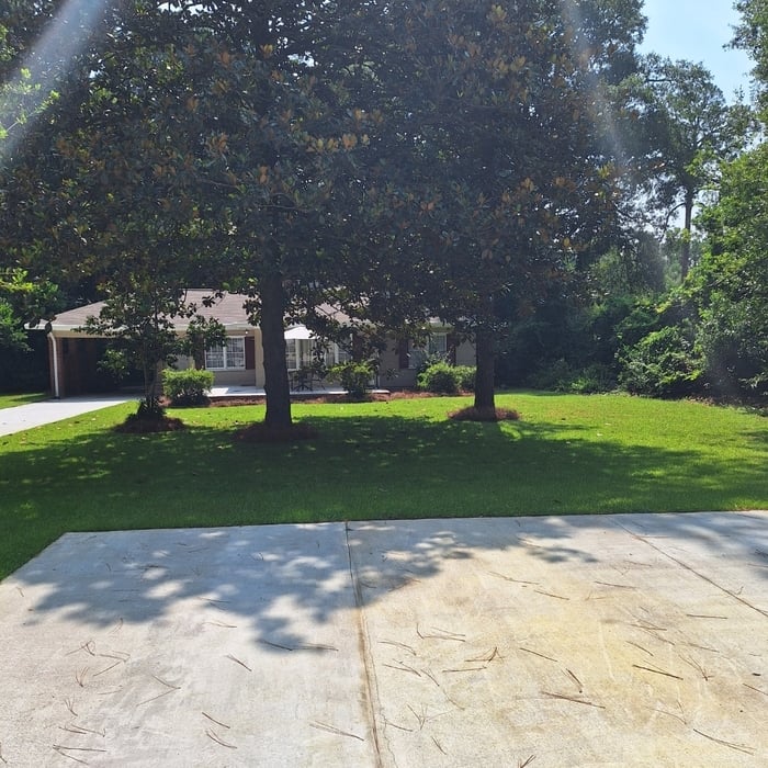 Additional Photos
