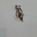 Hole in wall