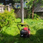Landscaping Project