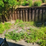 Landscaping Project