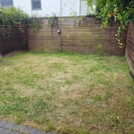 Lawn and Yard Work Project