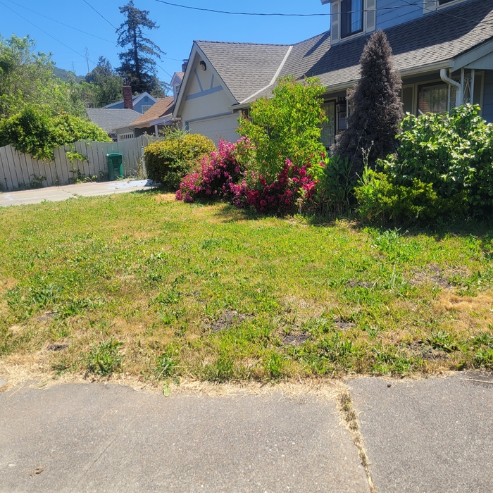 Lawn and Yard Work Project