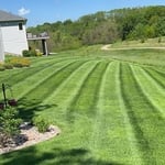 Lawn care
