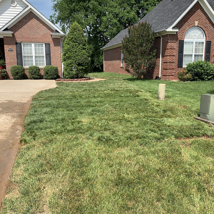 Fresh sod gives you an instant repair after utility repairs