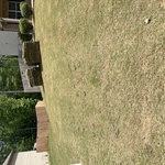 Landscaping Project