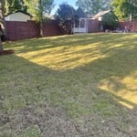 Grading, leveling backyard with dirt clean up and sod installation