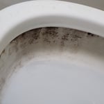 Lots of mold and hard water minerals thought this entire project.
