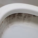 Big deep clean