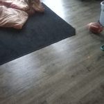 Before photos