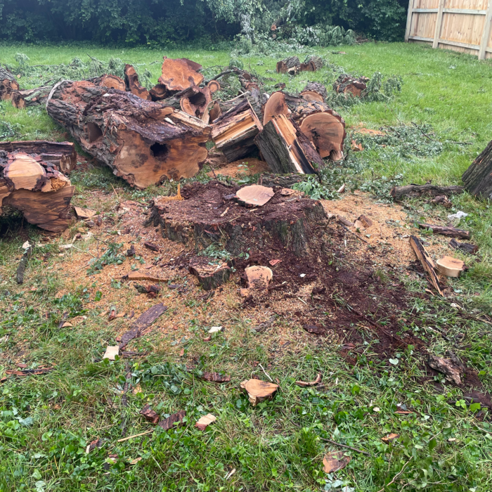Additional Photos