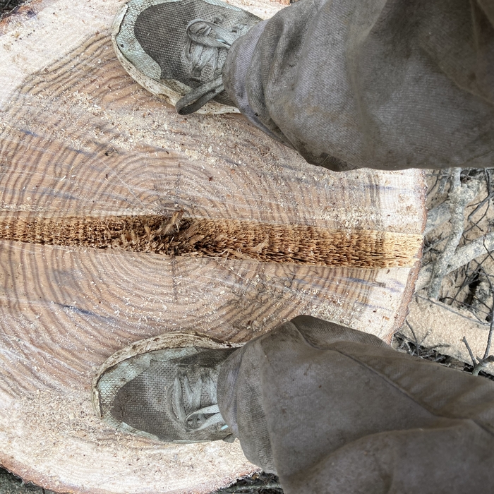 Holding wood.