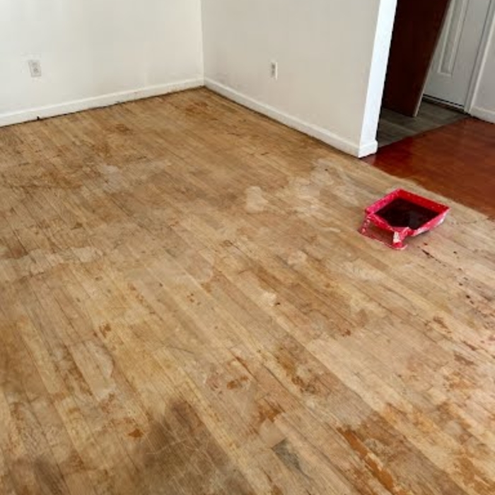 A Floor back to LIFE!