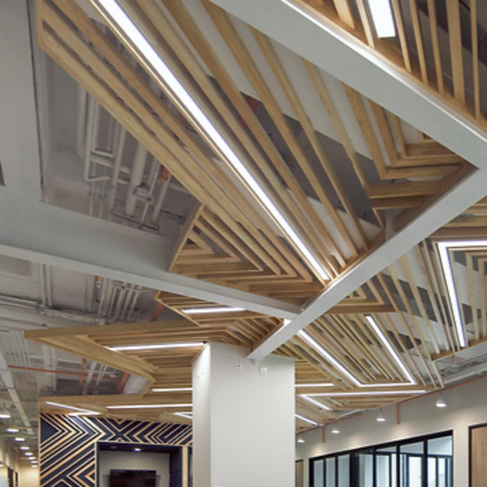 Commercial Indoor Decorative Ceiling