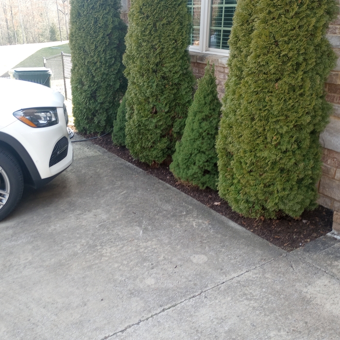 Additional Photos