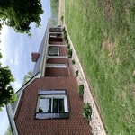 Landscaping Project
