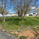 Lawn & Yard Work Project