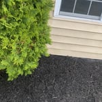 Landscaping Project
