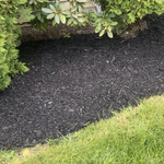 Landscaping Project