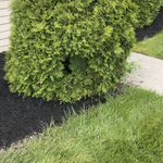 Landscaping Project
