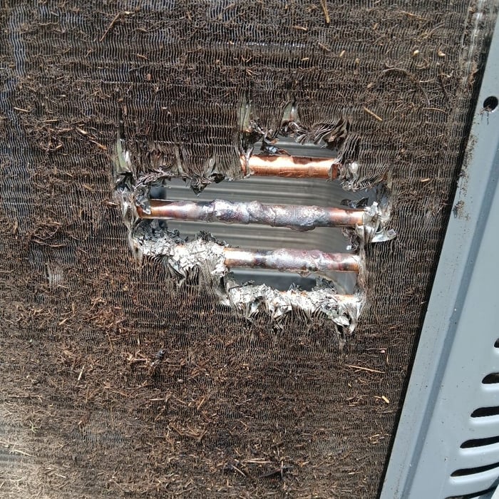 Additional Photos