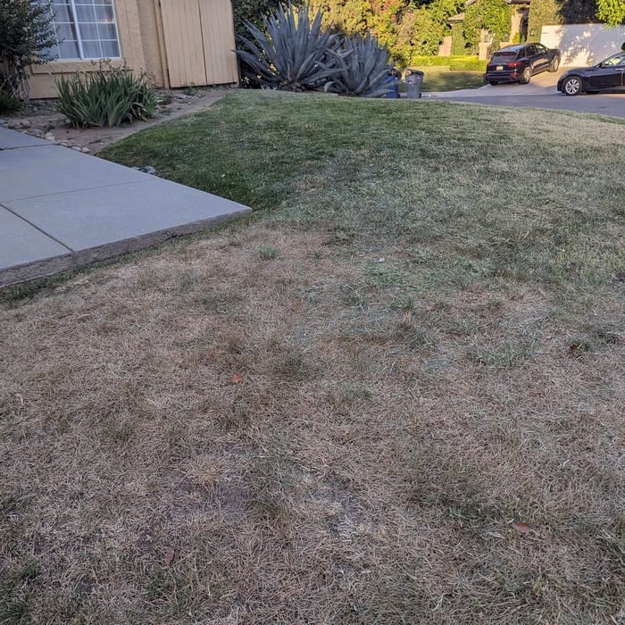 Lawn and Yard Work Project