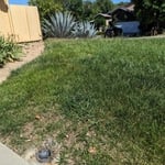 Lawn and Yard Work Project