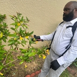 Spraying the exterior of a customer's home for ants.