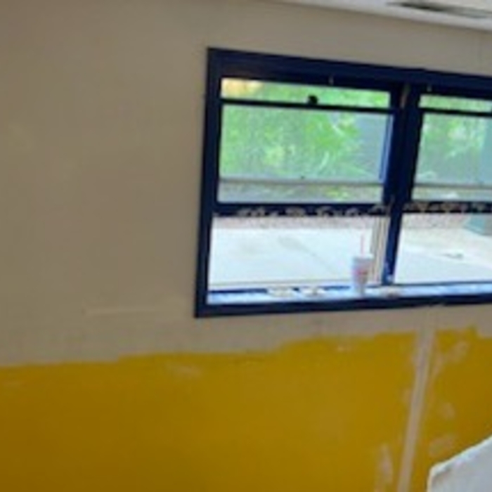 Mold mitigation water mitigation