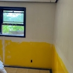 Mold mitigation water mitigation