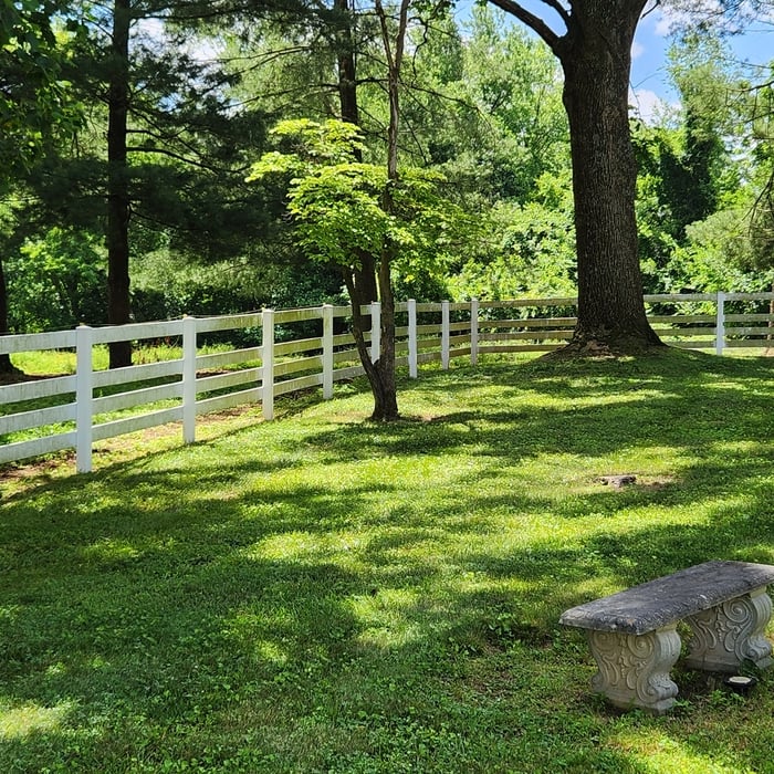 Fence cleaning