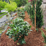 Additional Photos