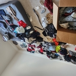 Organization