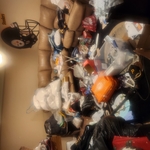 Organization