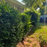 Landscaping Project