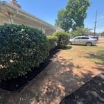 Landscaping Project
