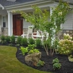 garden bed overhaul