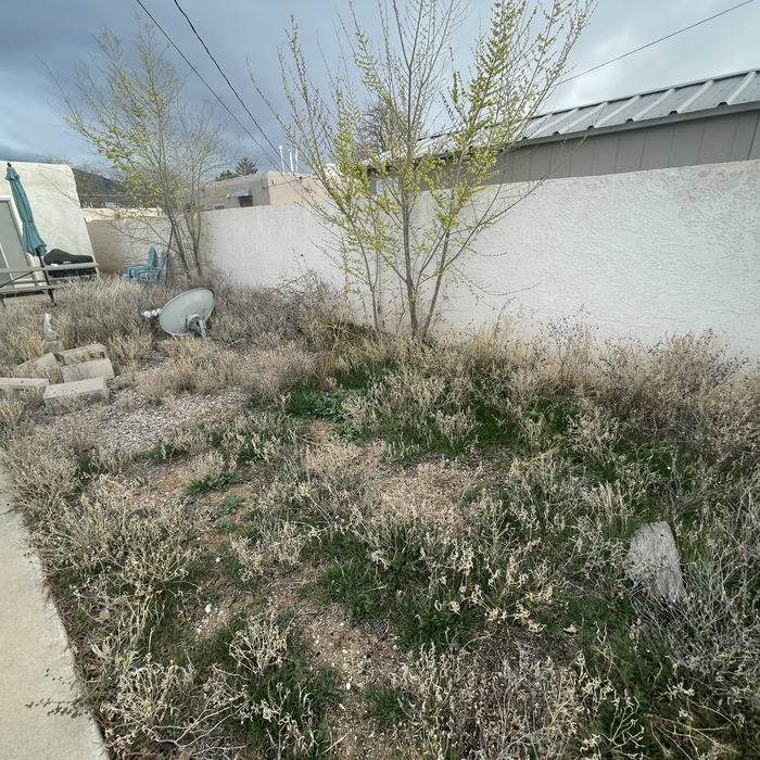 Additional Photos