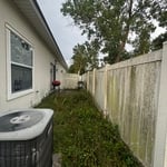 Backyard restoration