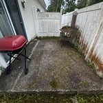 Backyard restoration