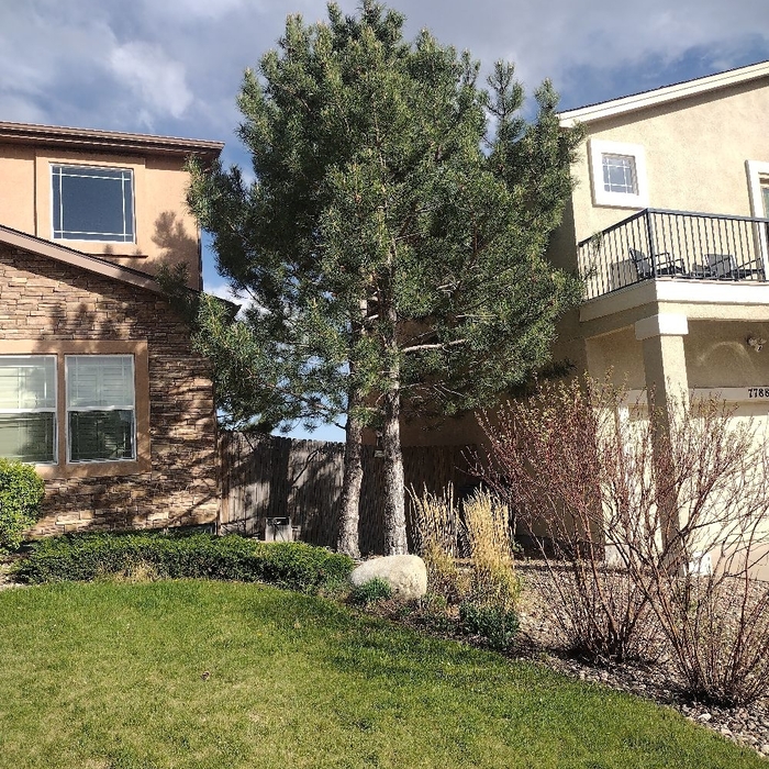 Additional Photos