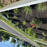 Landscaping Project