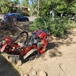 Landscaping Project
