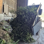 Tree Service Project