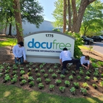Commercial flower bed installation