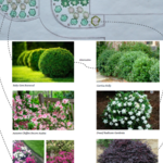 New Garden Plan