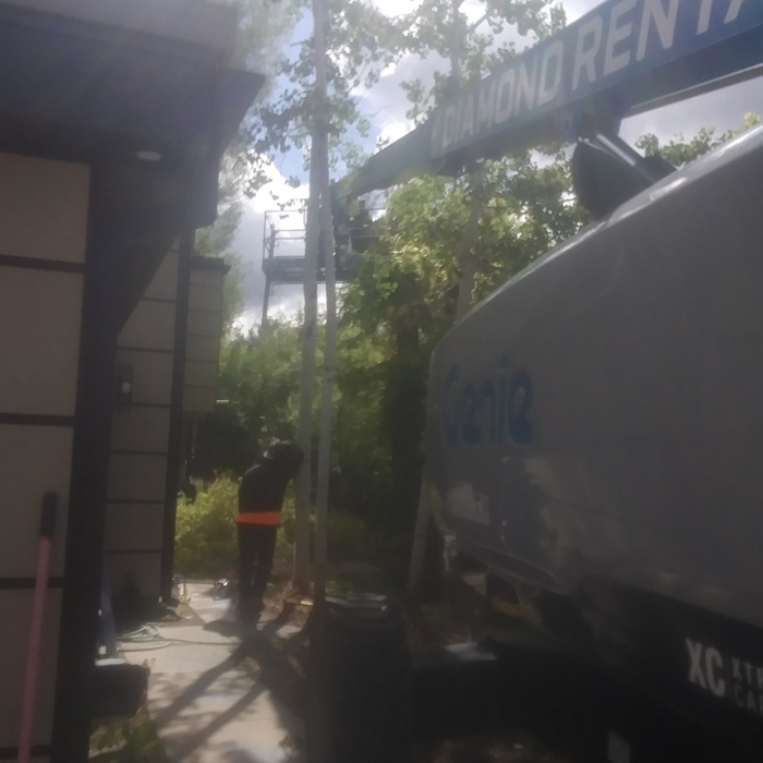 Tree Removal And Topped